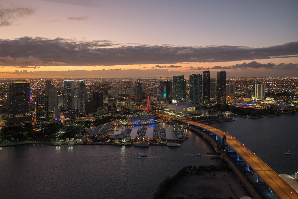 Aerial Photography of Port Boulevard Bridge & Skyline