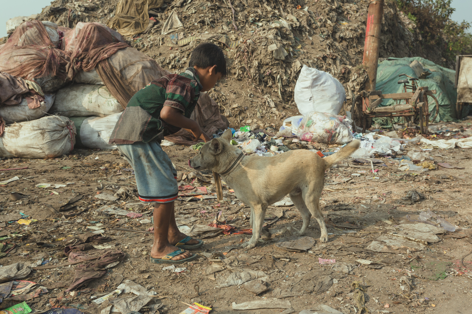 Children of the Chittagong, Bangladesh Waste Picker community caring for pets.