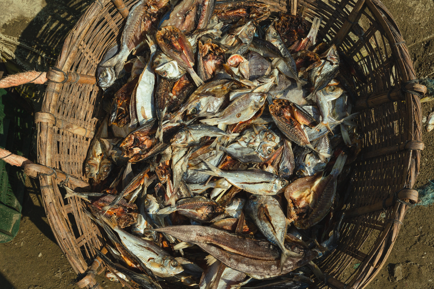 Cleaned fish prepared for the next stage of the manufacturing process at Dhaka - Bangladesh Dried Fish Village.