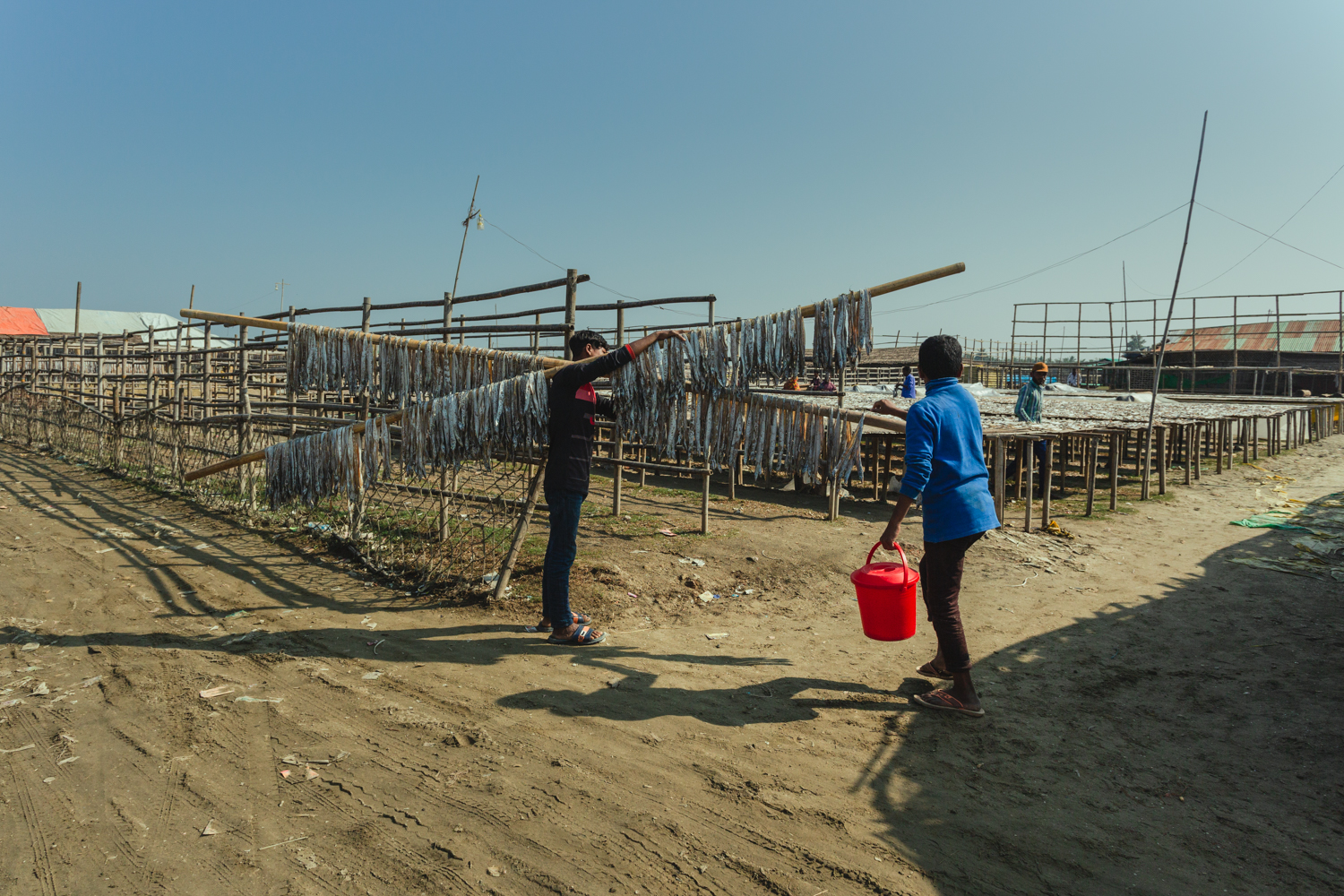 Transporting rods of fish at Dhaka - Bangladesh Dried Fish Village.