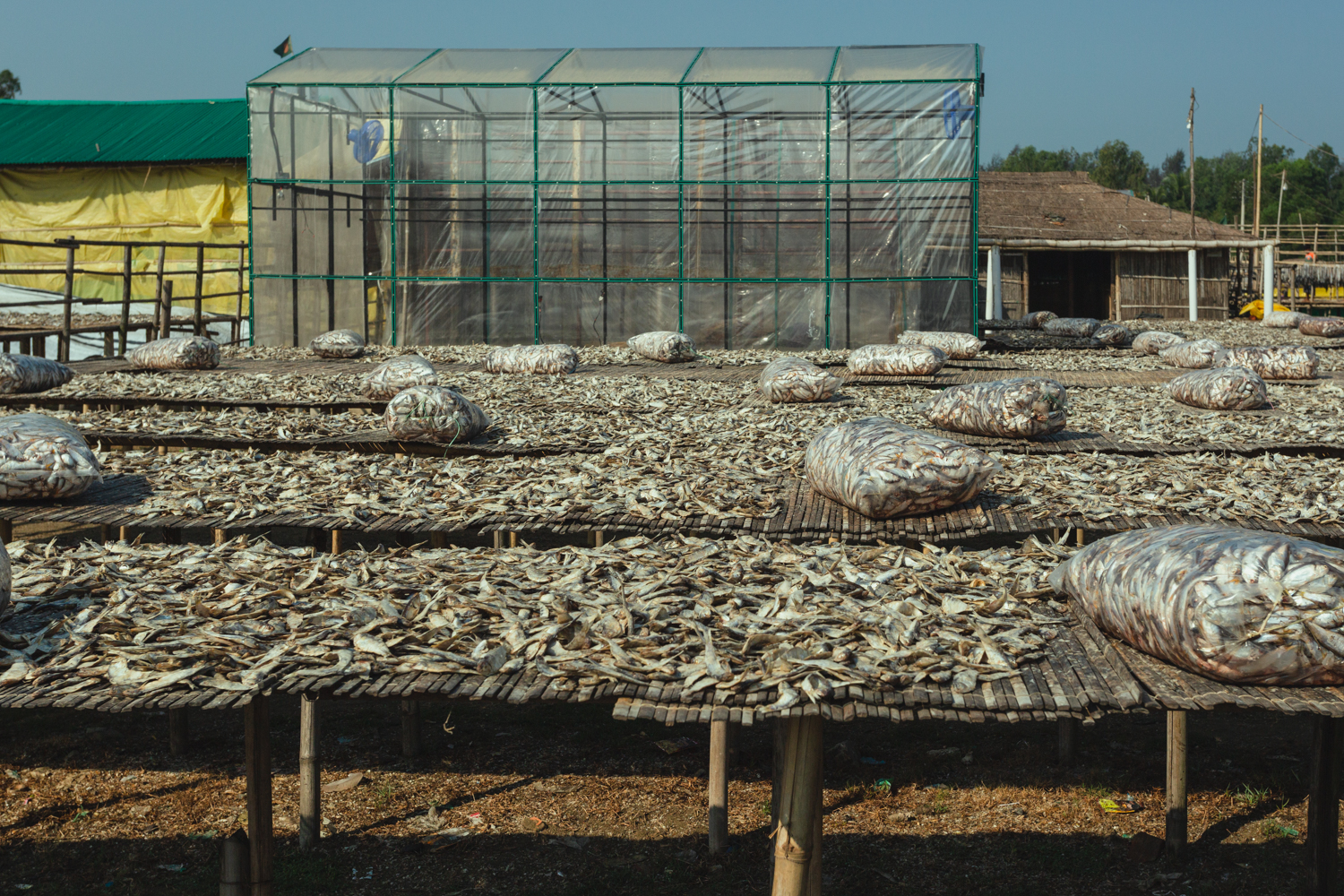 Manmade racks used for spreading fish during the drying process at Dhaka - Bangladesh Dried Fish Village.