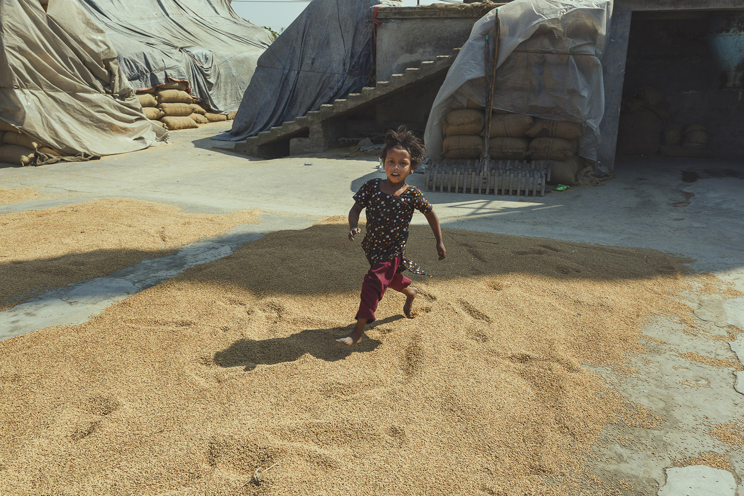 Little girl running through rice at Dhaka, Bangladesh Rice Mills.