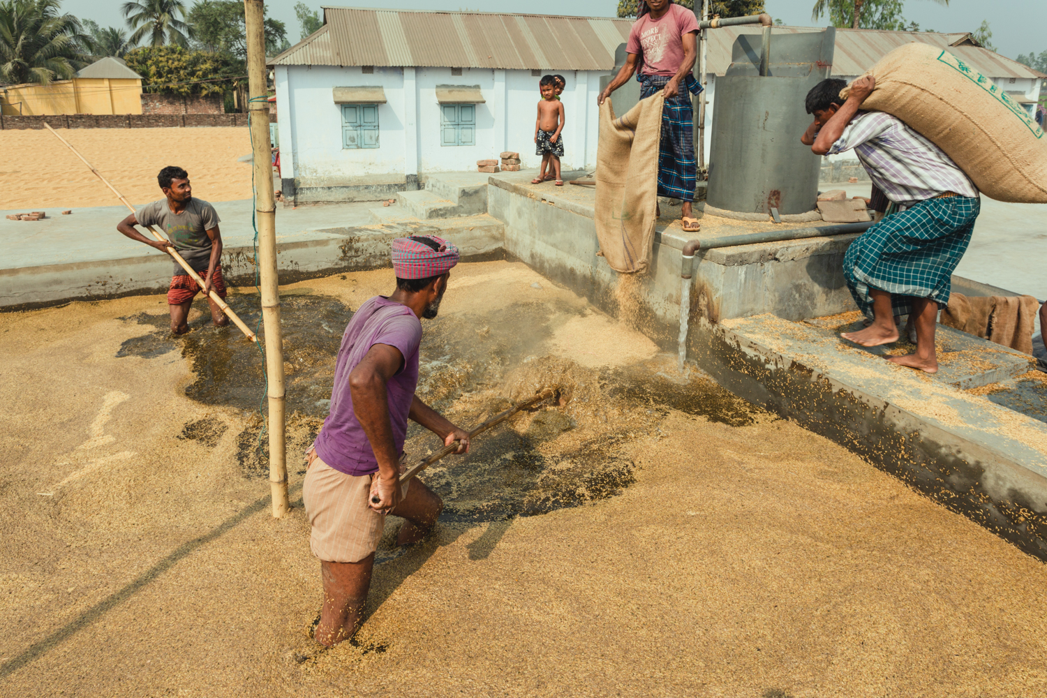 Empty hessian bags of rice into pits at Dhaka, Bangladesh Rice Mills.