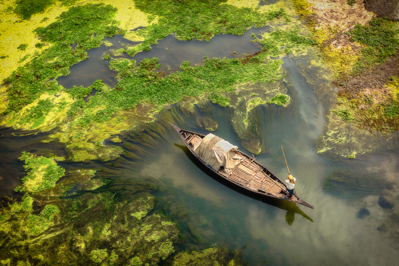 Algae blooms on Bangladesh lakes create natural art.