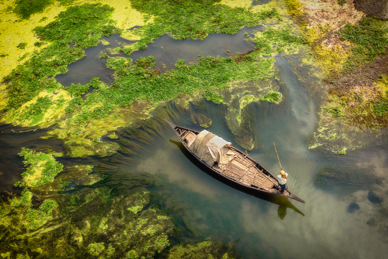 An algae bloom on the Jamuna River, which is used by local people for fishing, Bangladesh 2020