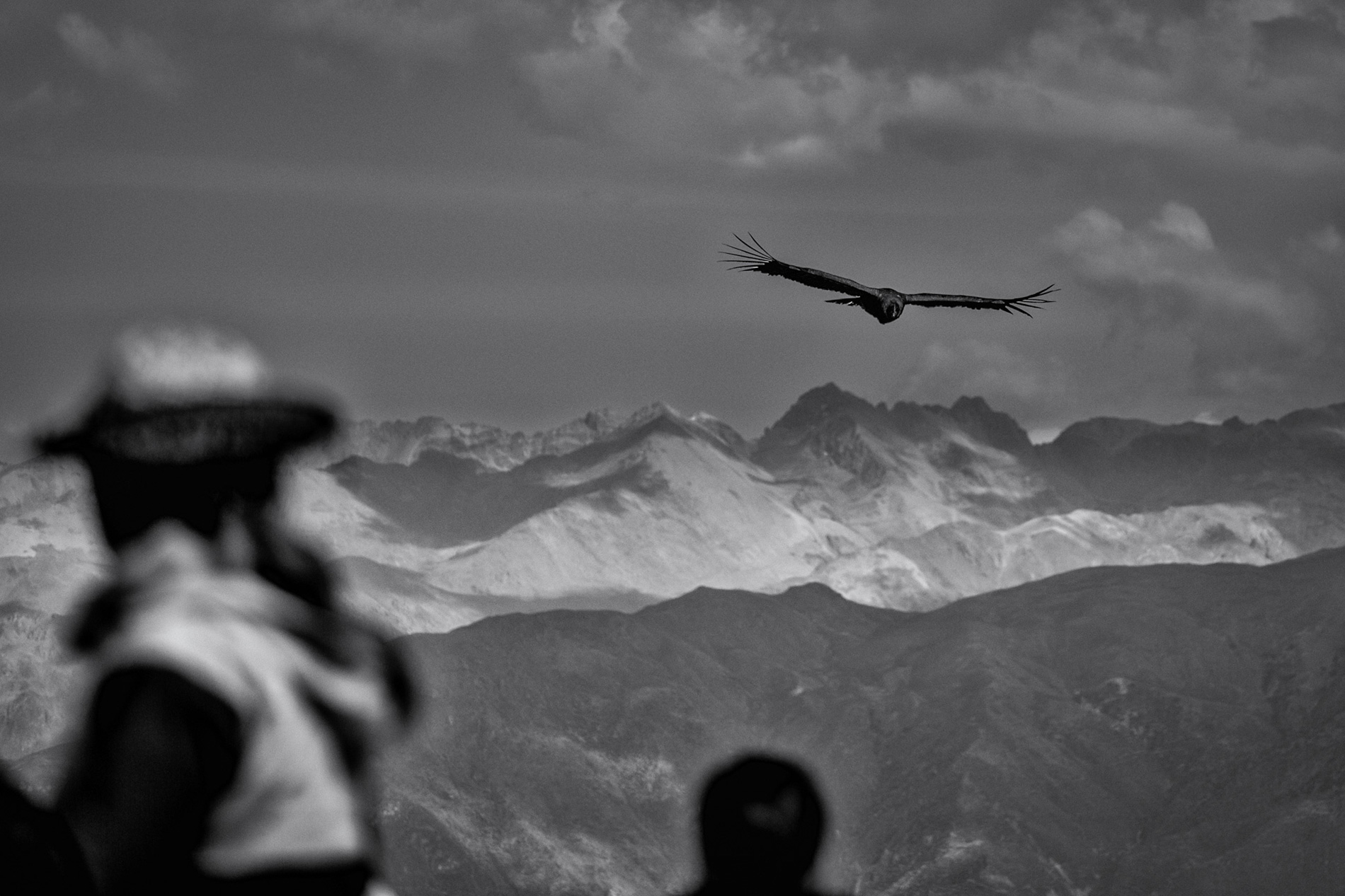 This is a black-and-white photograph of a soaring condor against a backdrop of rugged, snow-capped mountains. In the foreground, blurred silhouettes of two people, one wearing a hat, frame the scene, adding depth and a sense of scale to the majestic bird in flight.